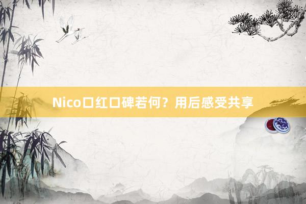 Nico口红口碑若何？用后感受共享